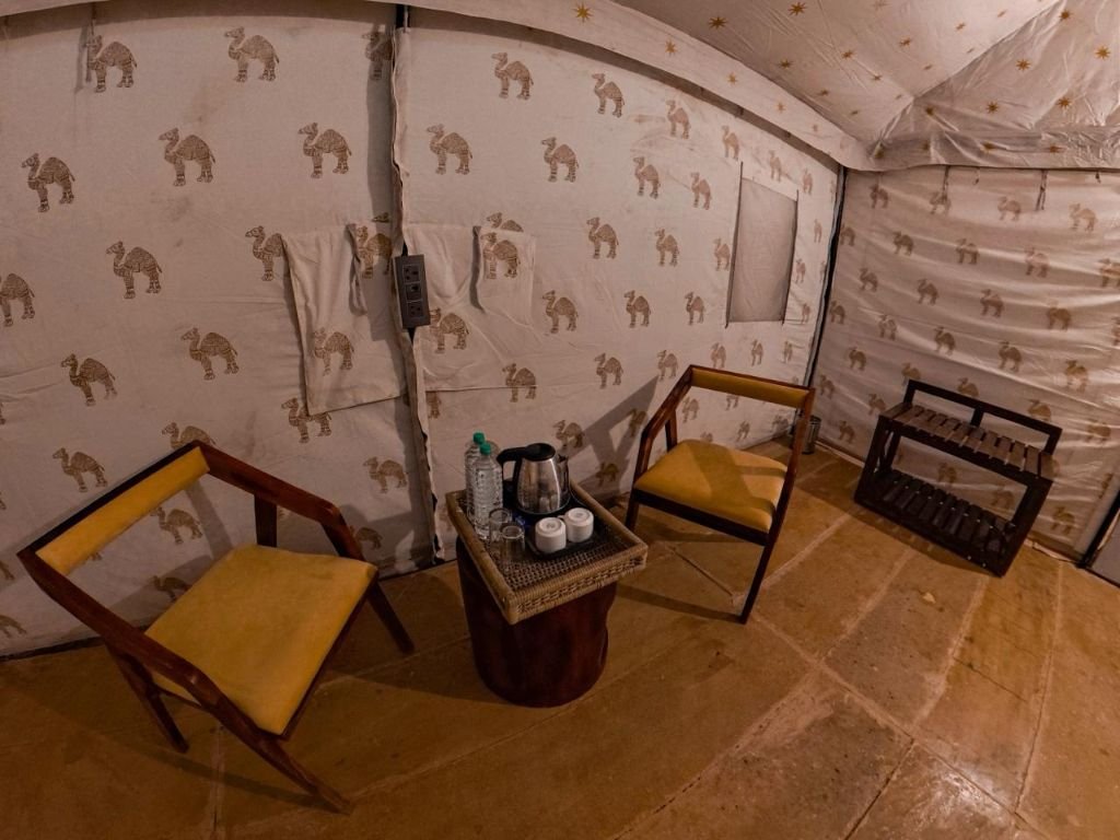Camel safari desert ride experience